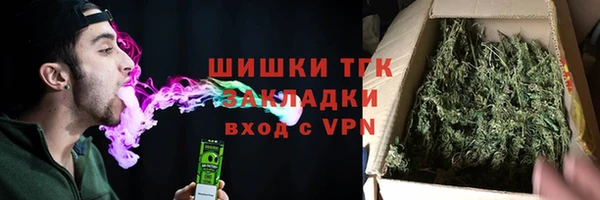 таблы Ельня