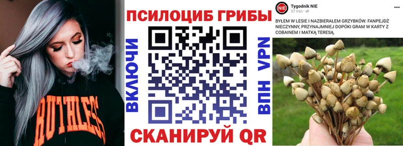 Галлюциногенные грибы Cubensis  Купить  Мичуринск 